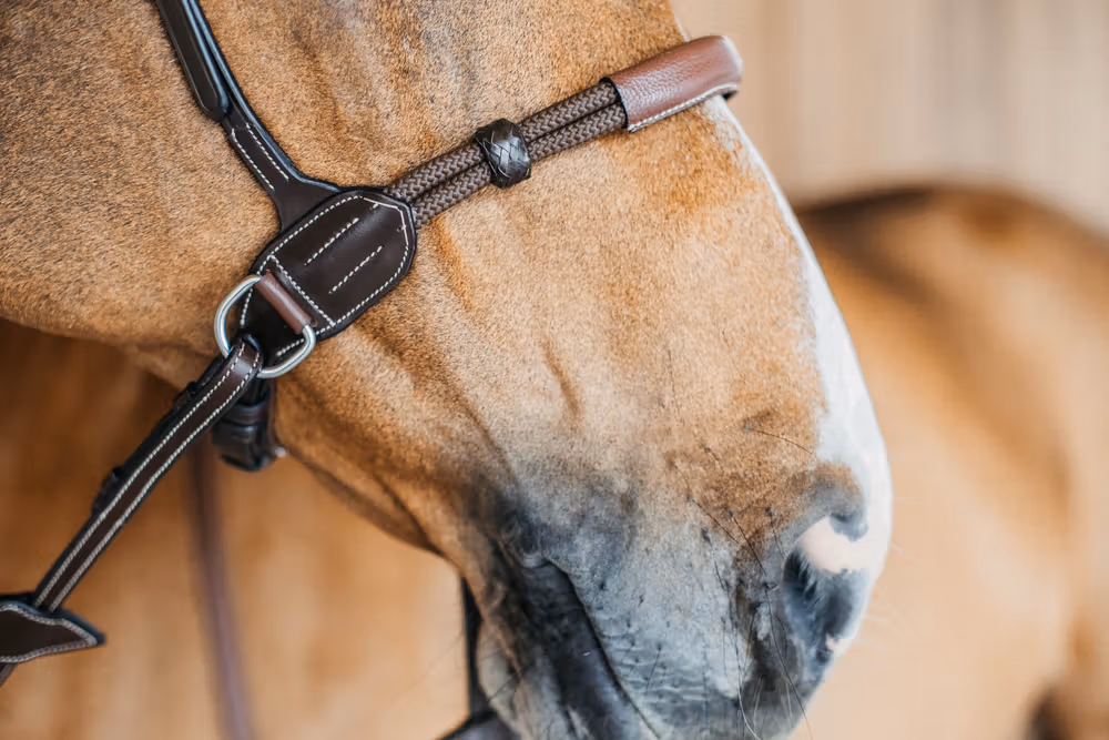 Dyon Bitless Bridle Brown Full WBD