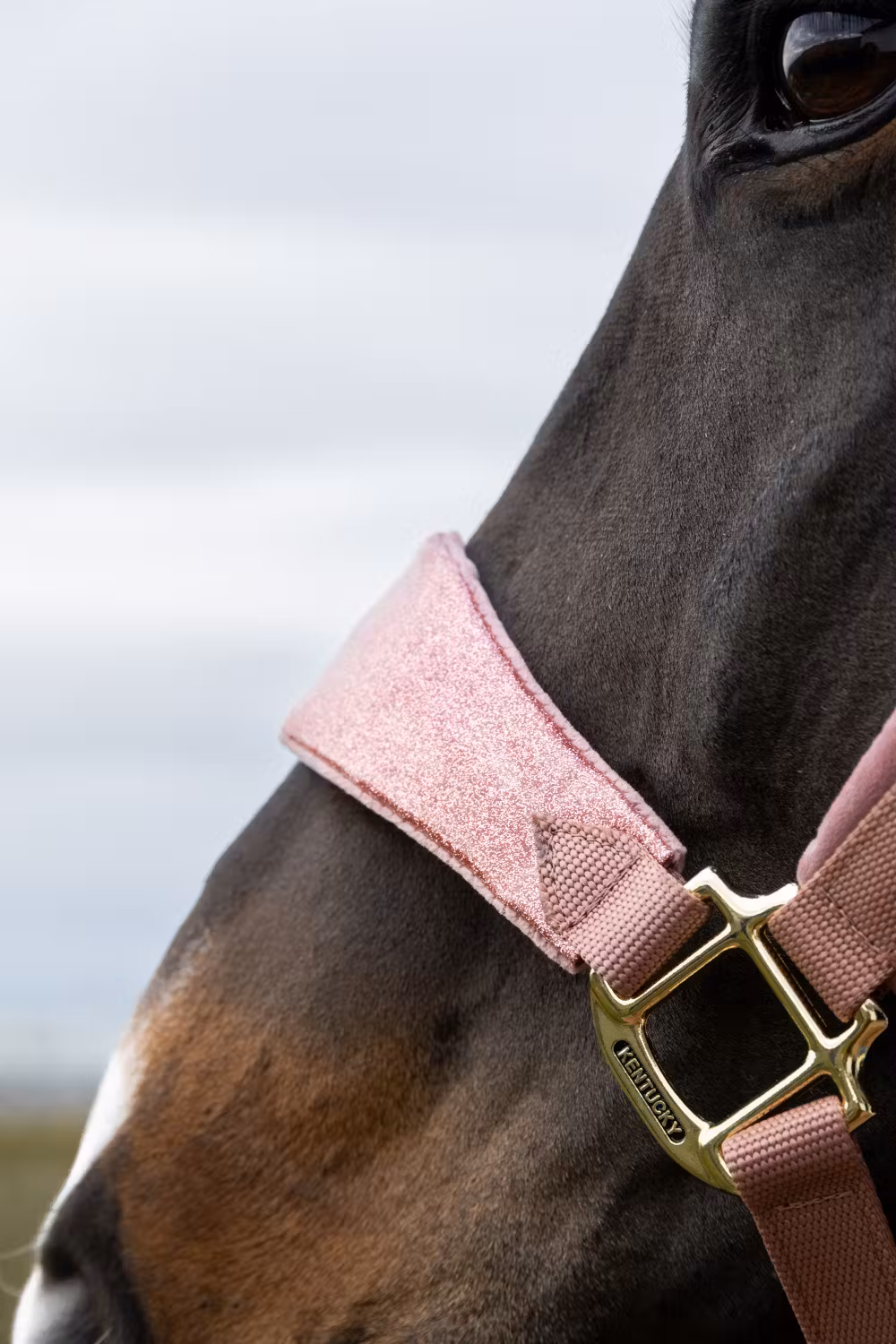 Velvet halter unicorn glitter old rose cob