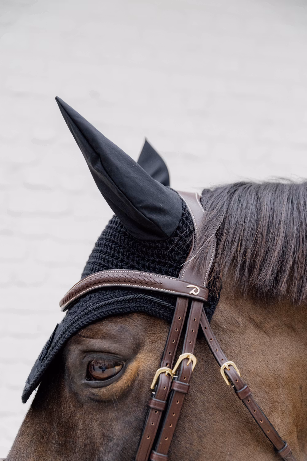 Plaited Flash Noseband Bridle with Pull back Brown Full D Collection