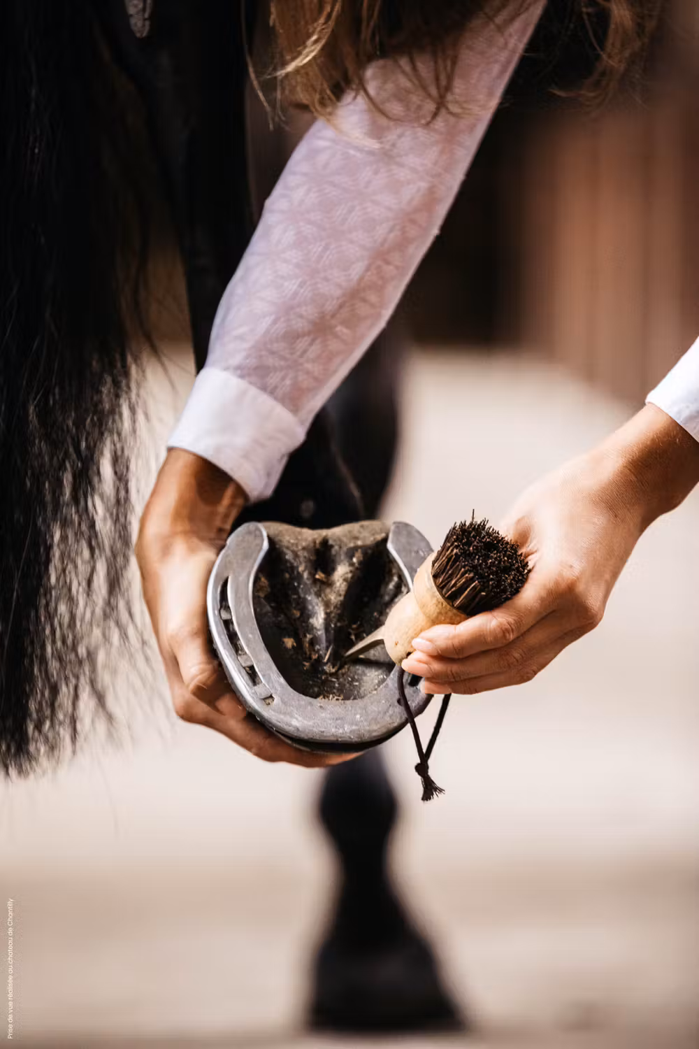 Hoof pick smal
