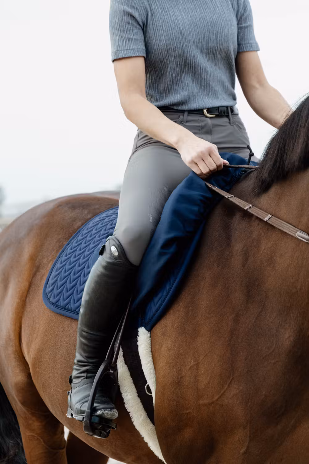 Saddle cover waterproof show jumping navy