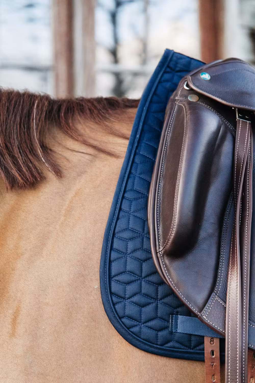 Saddle Pad classic dressage navy