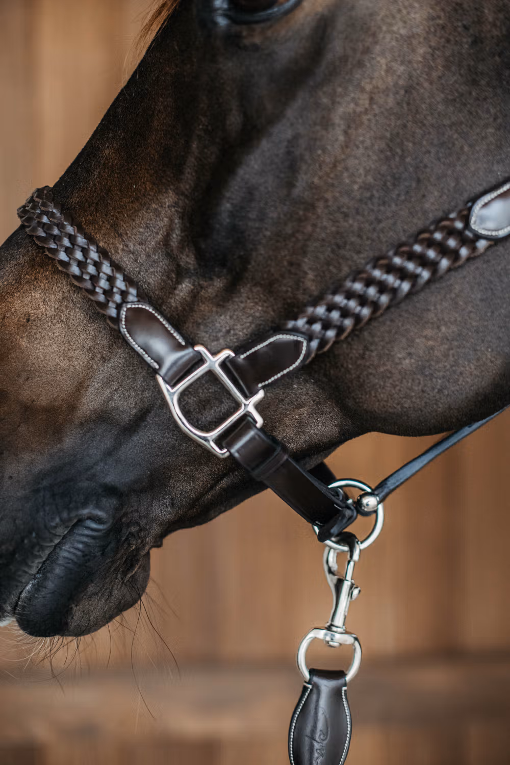 Plaited Halter