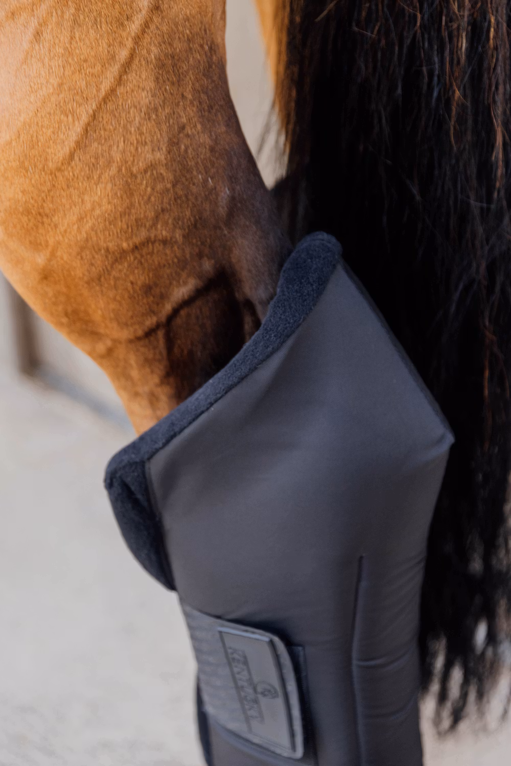 Stable boots PROtect long hind with hook protector black size S