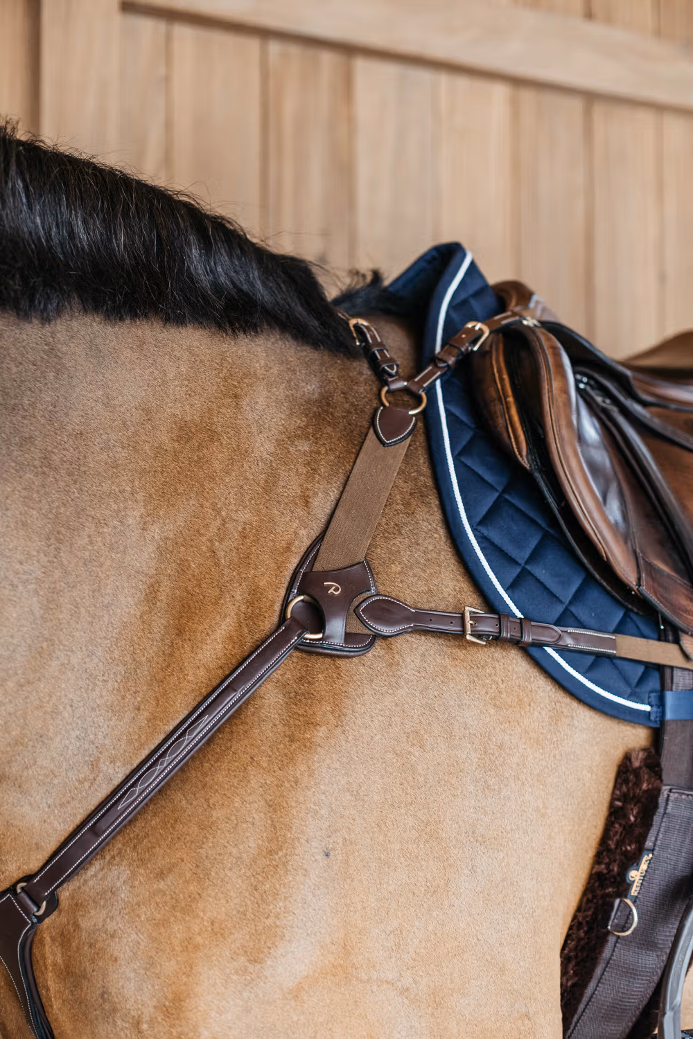 5 points breastplate with elastic Brown Full D
