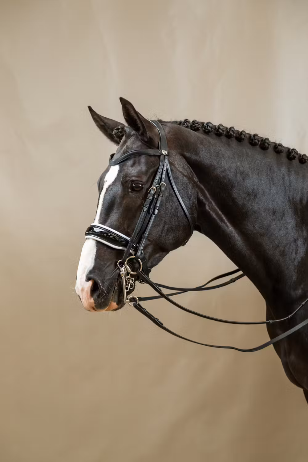 Patent Large Crank Noseband With White Padding Double Bridle