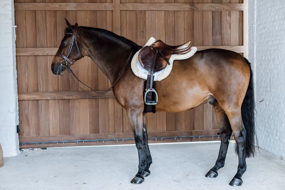 Saddle Pad Hunter vegan sheepskin jumping naturel