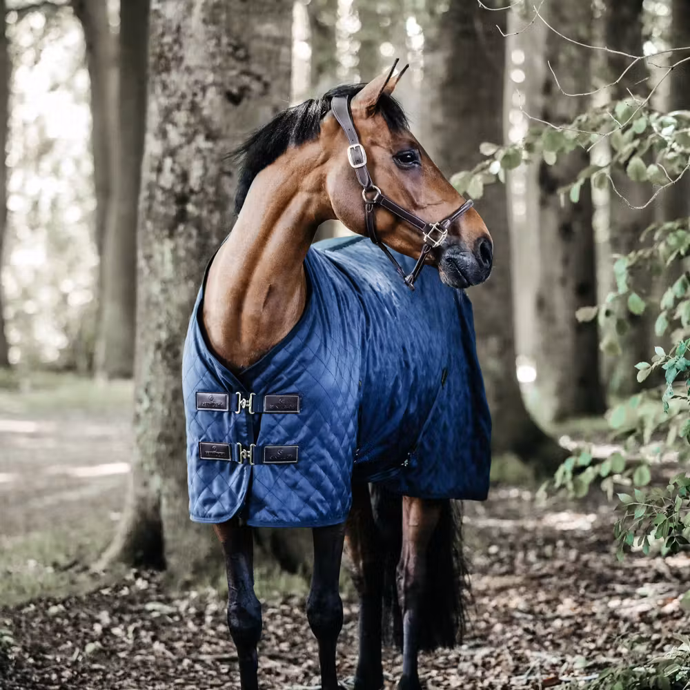 Stable Rug 0g navy 145-6'6