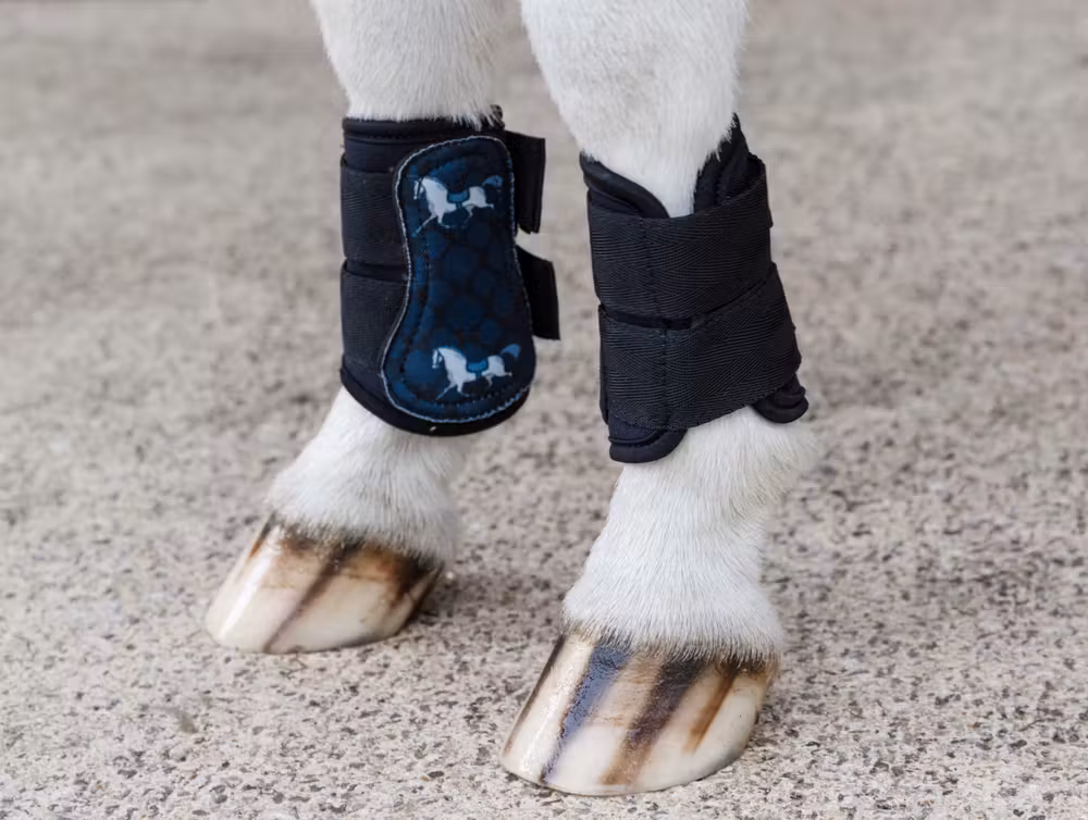 Turnout boots with horse design black SH