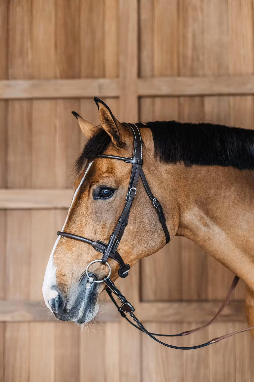 Round Leather Bridle