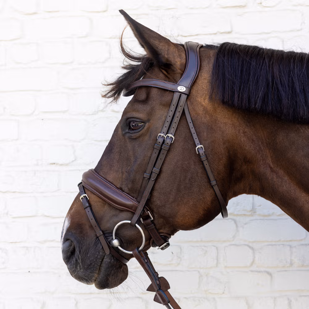 Bridle Medium noseband soft leathersoft coll Full/brown
