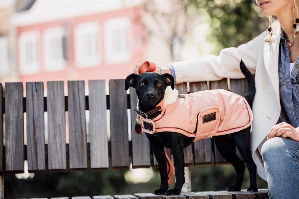 Dog coat waterproof coral XS 31