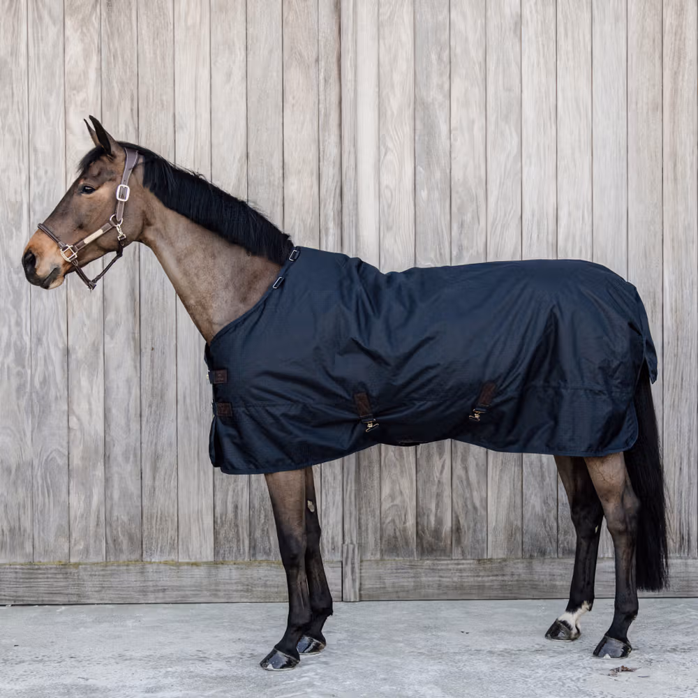 Turnout Rug All weather Waterproof Classic navy 145-6'6 150 gram