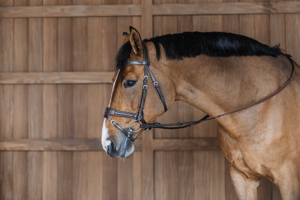 Working Motion Bridle Brown Full WBD