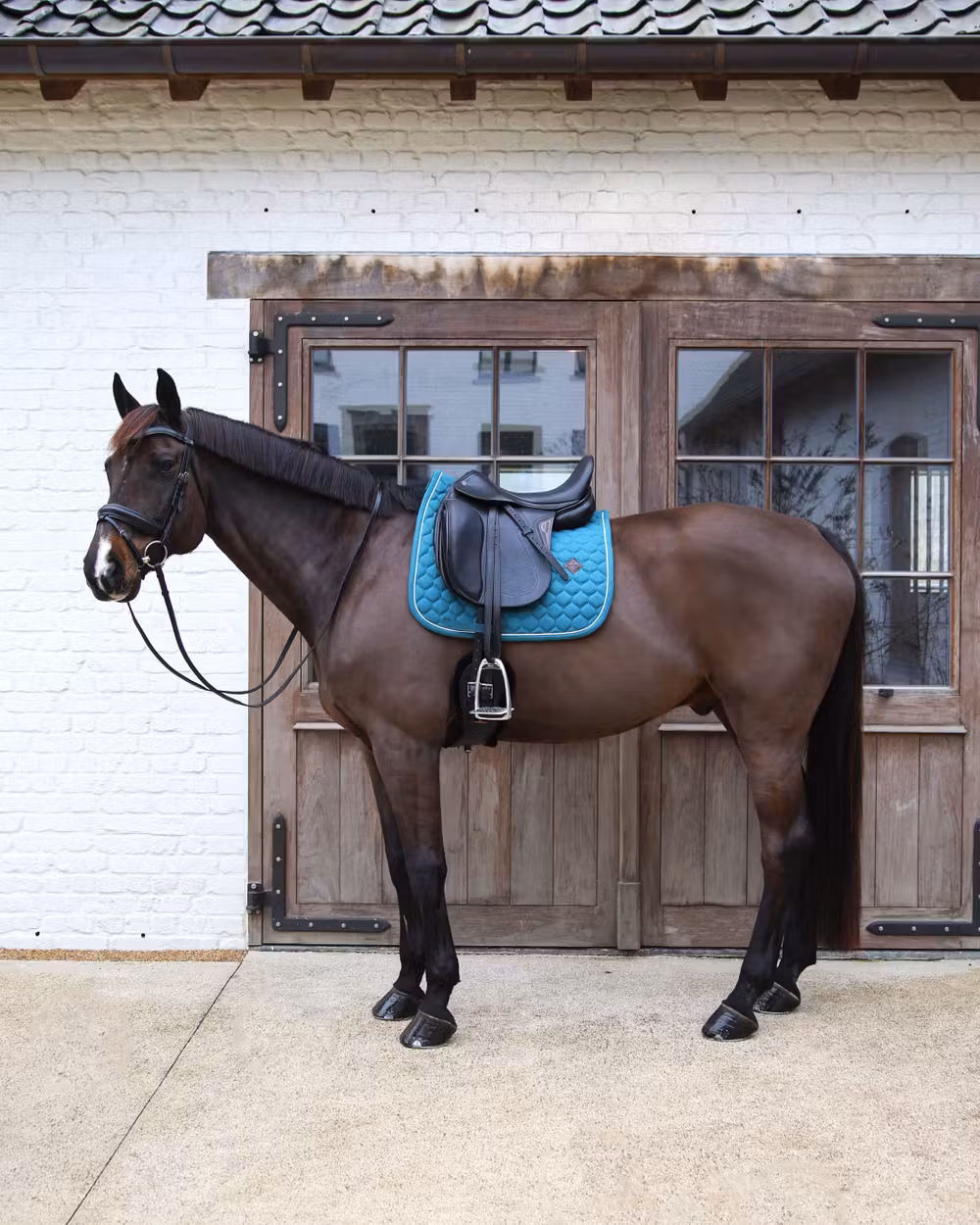 Saddle Pad melange dressage dark green