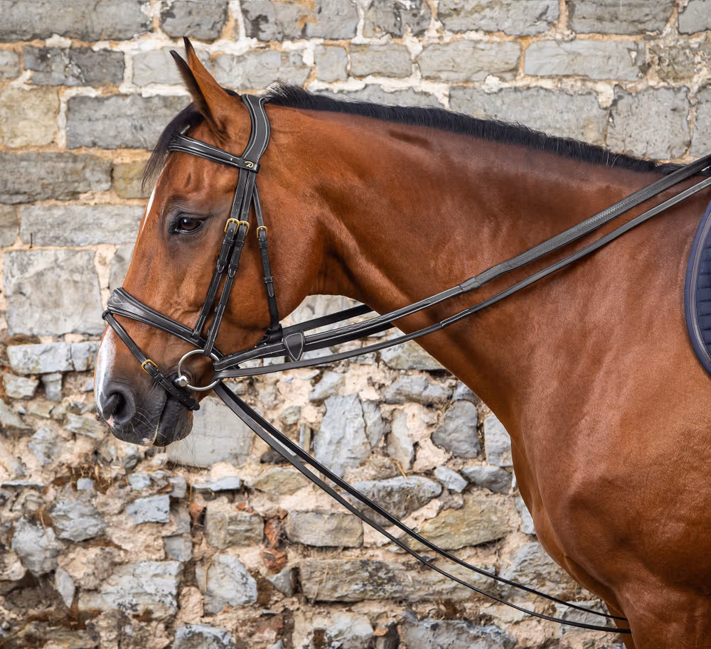 Full Leather Draw Reins 1/2