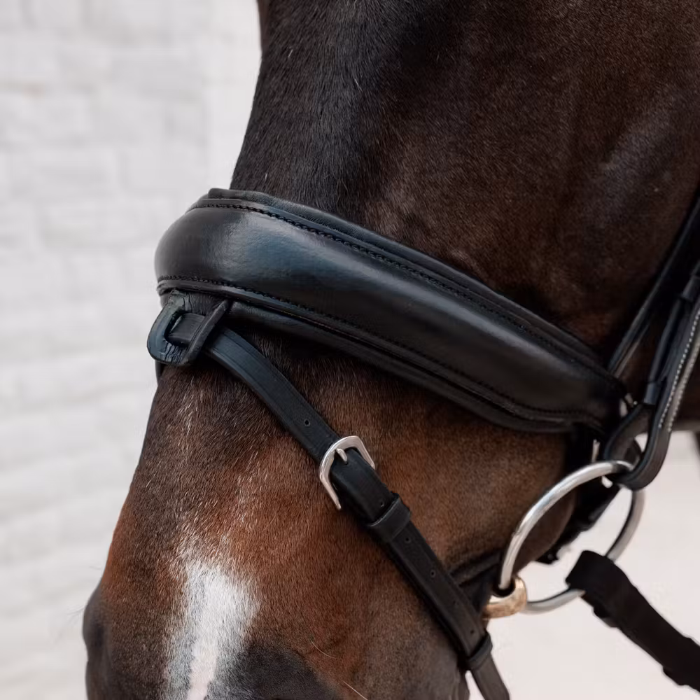 Crank Noseband Matt Special FEI