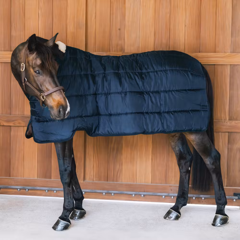 Turnout rug Comfort Liner Pro navy 145-6'6 100 gram