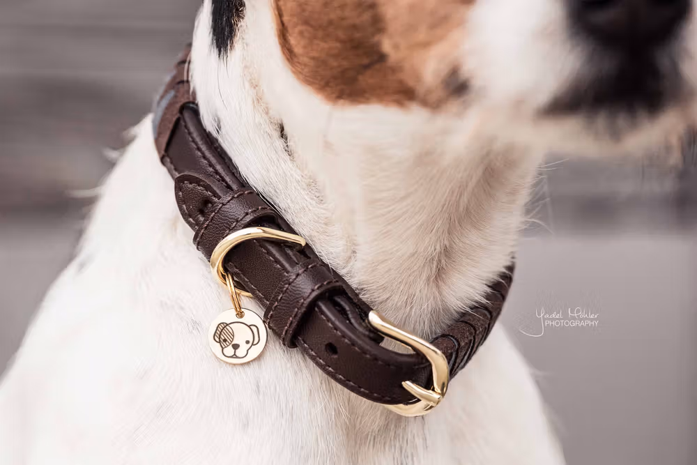 Dog collar triangle' Size L-62cm