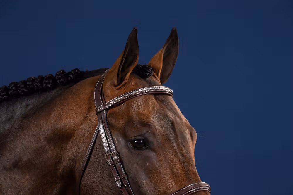 Silver Clincher Straight Browband