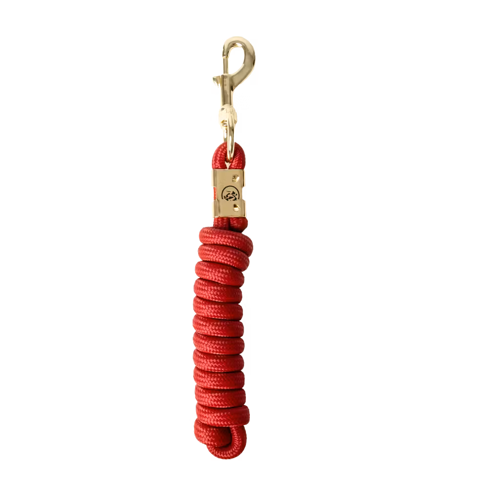 Lead rope basic red 2m