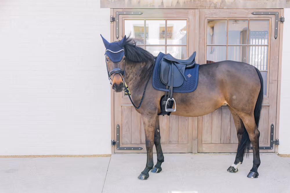 Saddle Pad with metal chain dressage navy