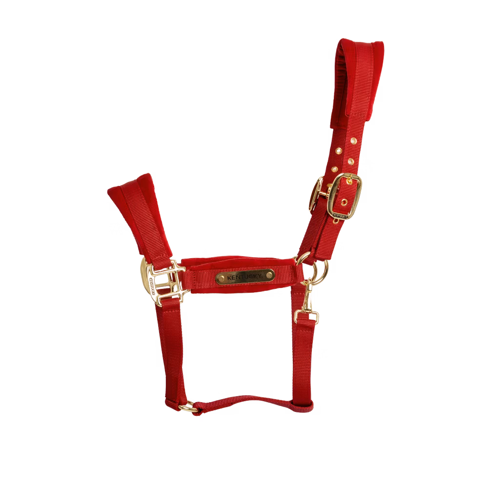 Velvet Halter old rose cob