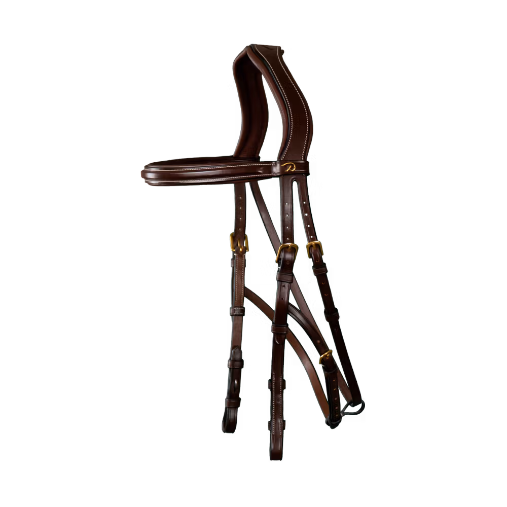 Hackamore Bridle