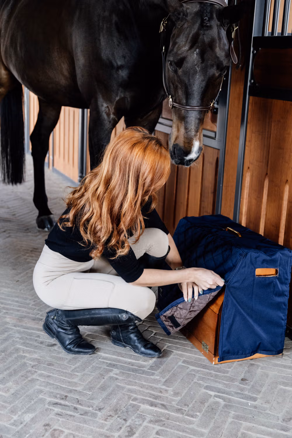 Show grooming box cover navy