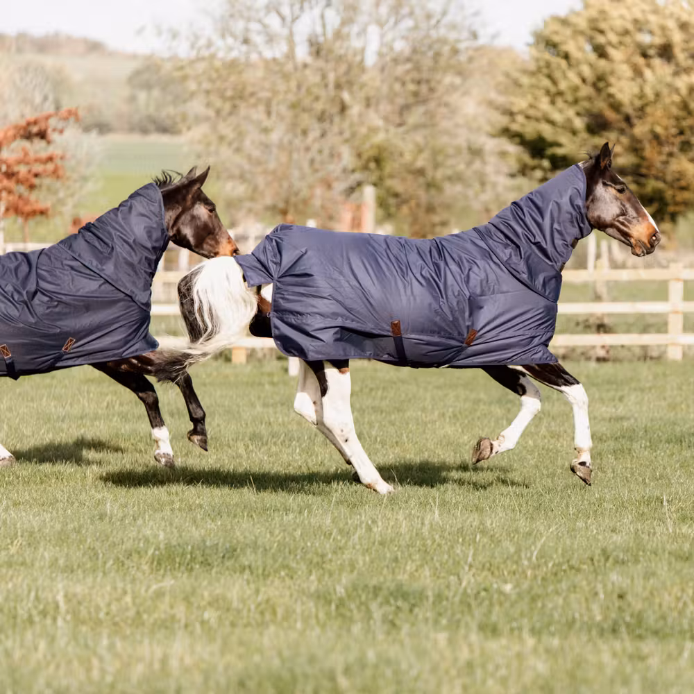 Turnout rug all weather Quick dry Fleece with Neck navy 145-6'6 0gram