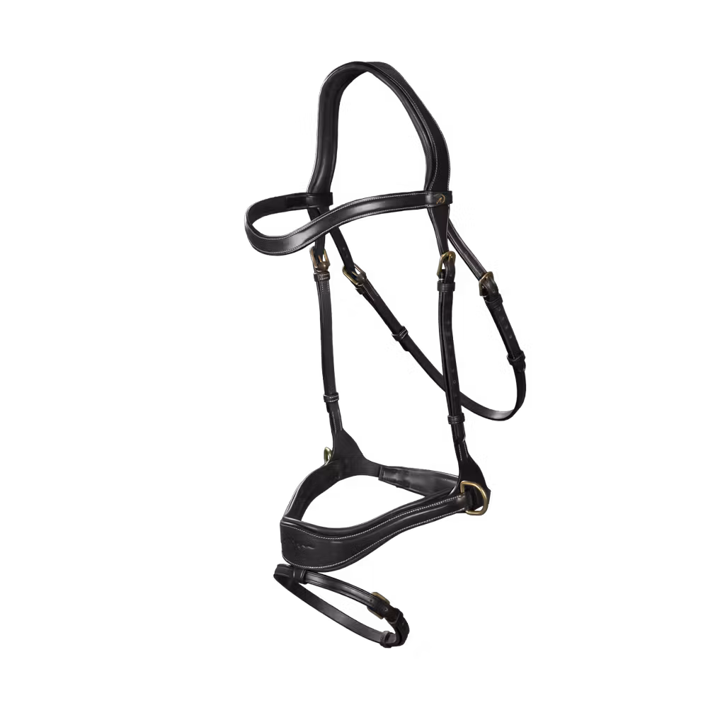 D Motion Bridle
