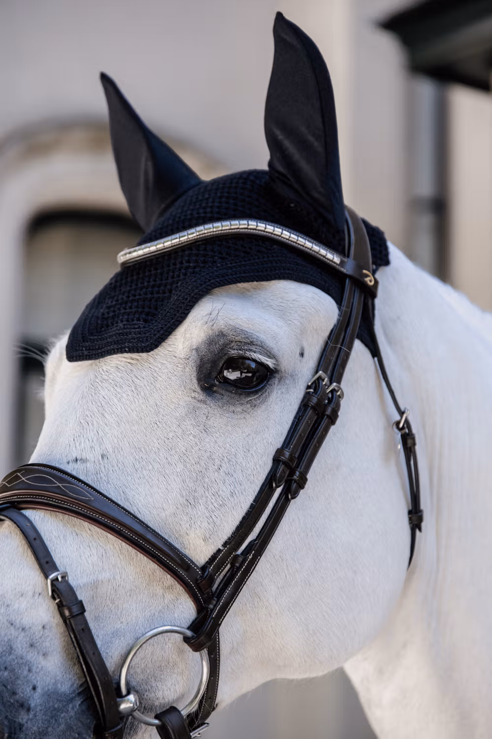 Fly veil Wellington black pony