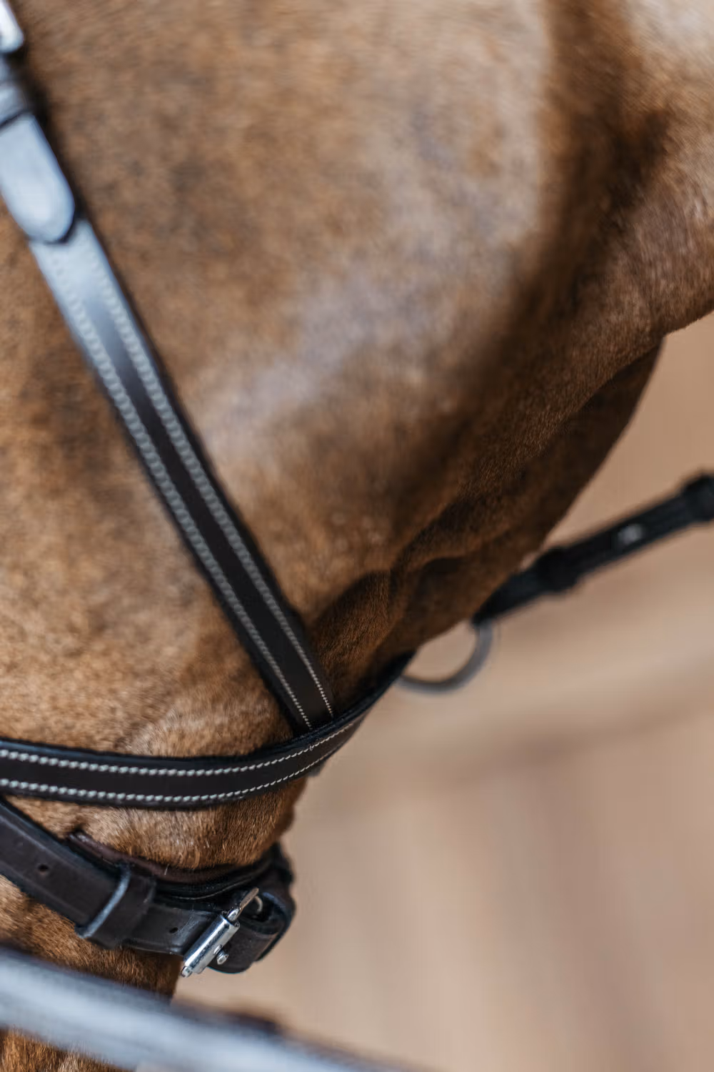 Working Motion Bridle Brown Full WBD