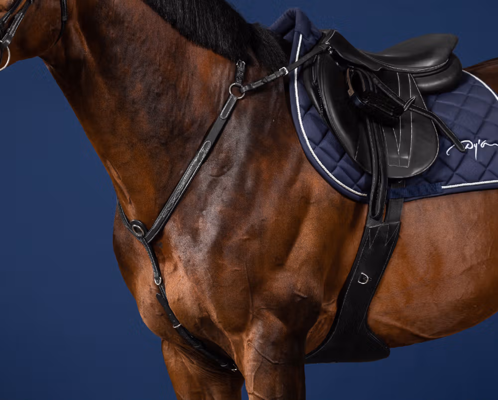 Bridge Breastplate
