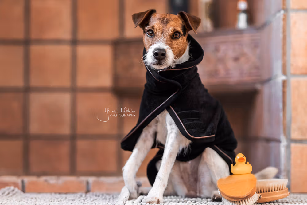 Dog coat towel black XXS 22.5cm-28cm