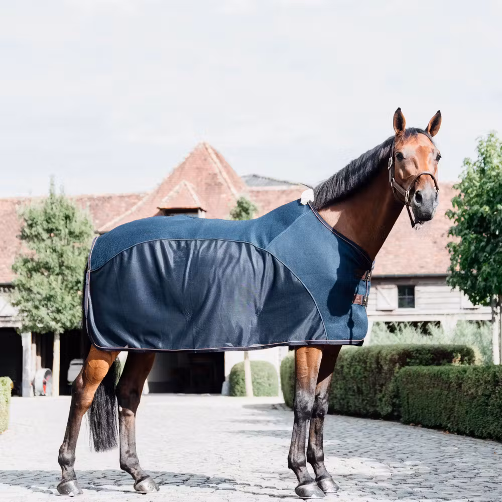 Mesh combo cooler sheet navy 145-6'6