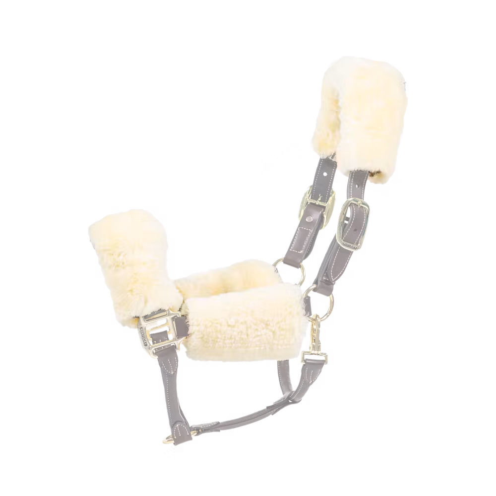 Sheepskin halter set 4 pieces black
