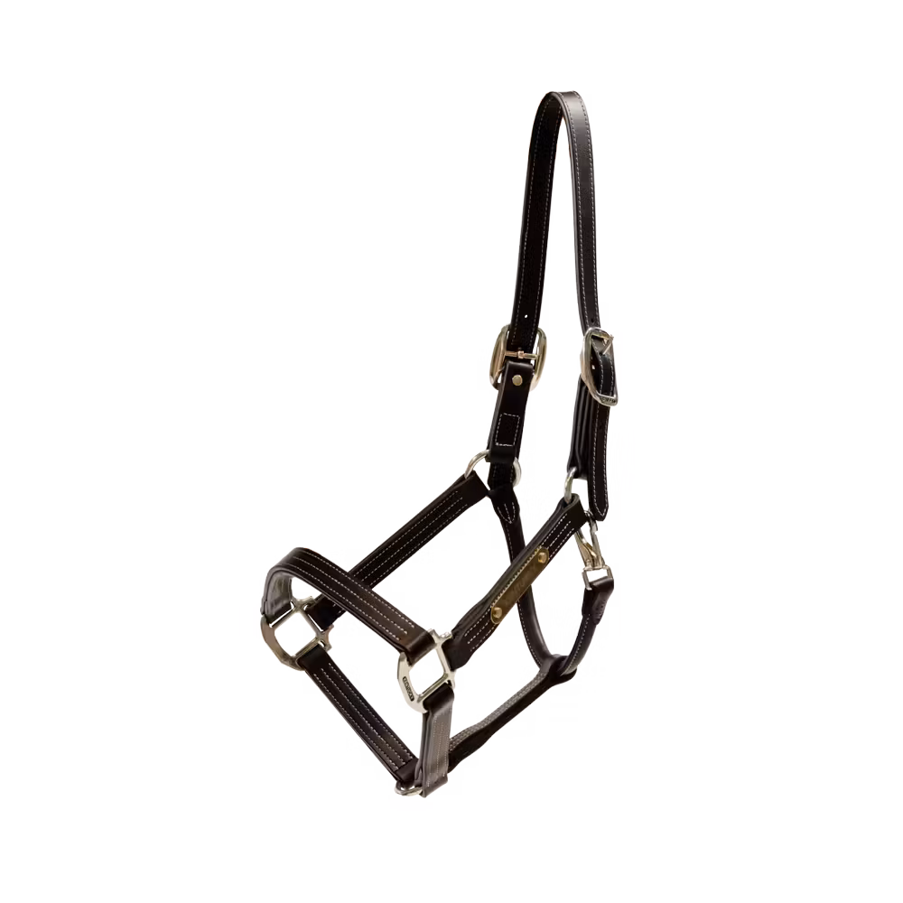 Leather halter Wellington black Full