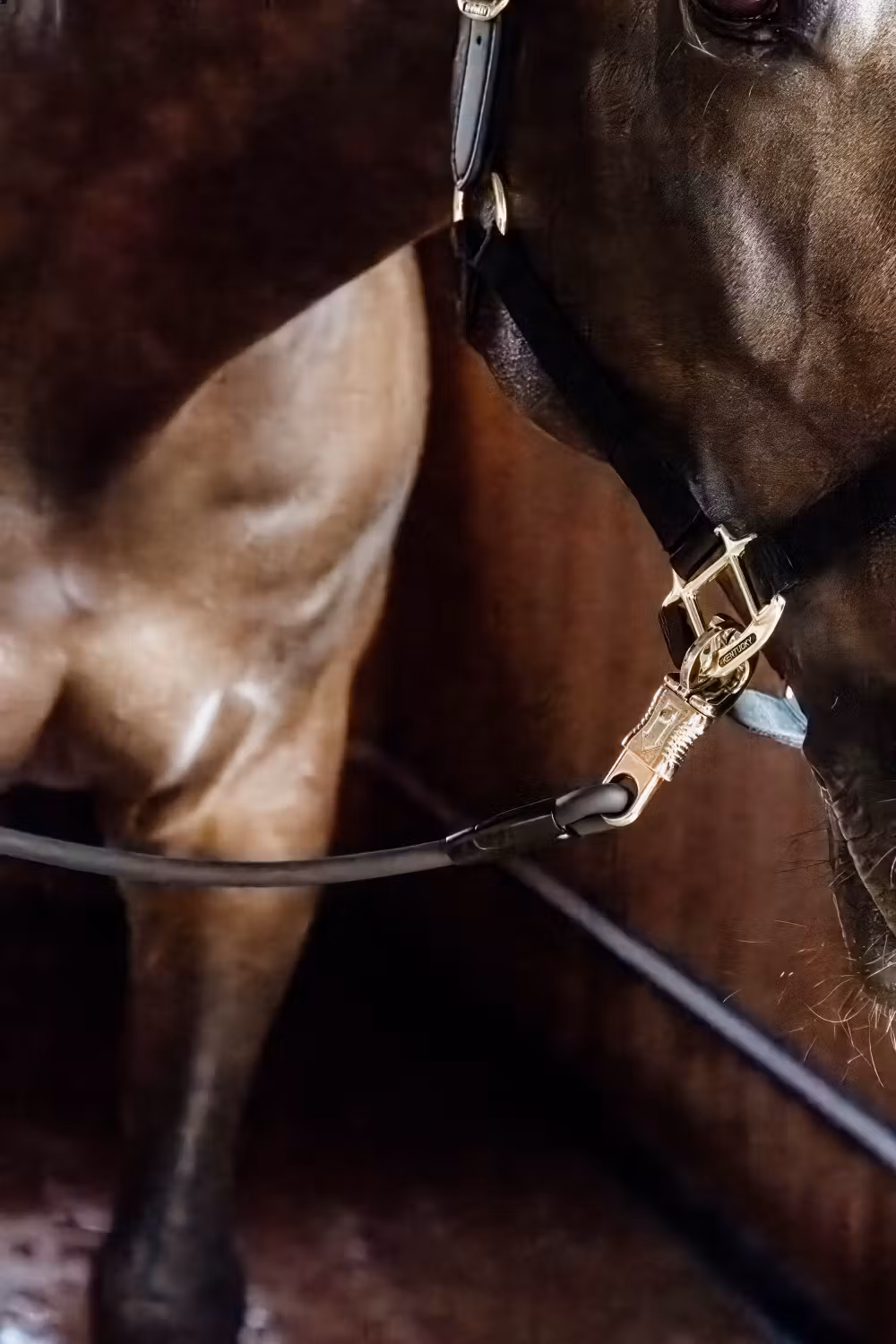 Horse box lead & Cross ties silicone black 90cm
