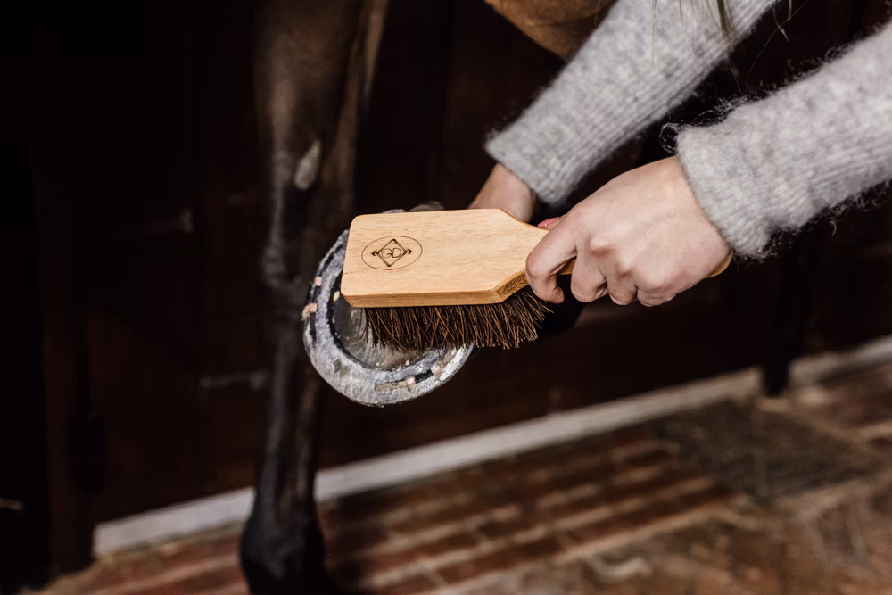 Hoof brush