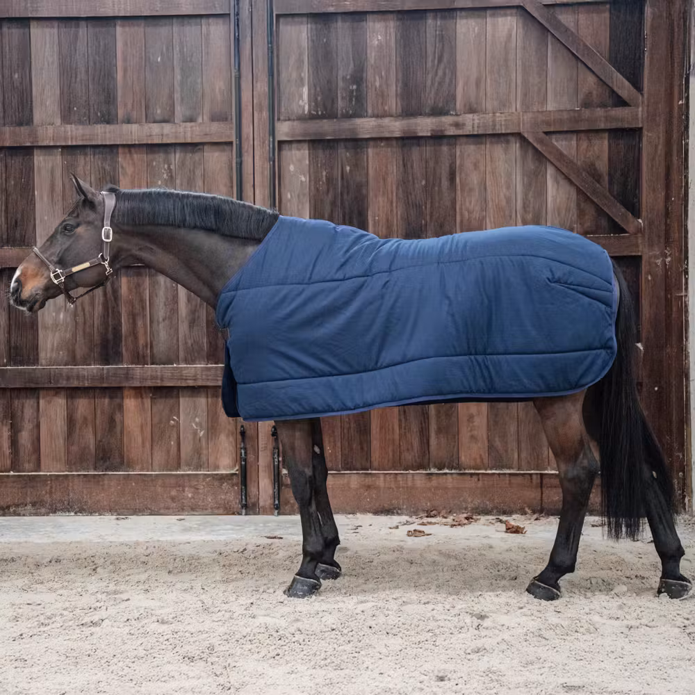 Under rug Classic navy 140-6'3 300 gram