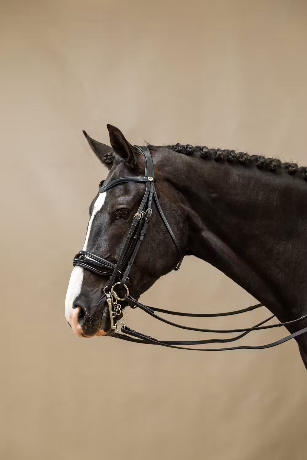 Patent Large Crank Noseband Double Bridle