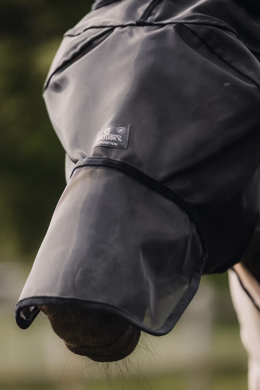 Fly mask classic with ears and nose black Full