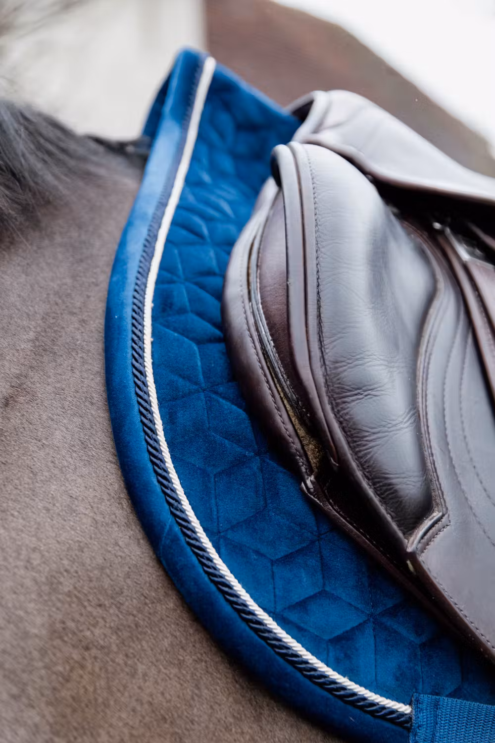 Saddle Pad basic velvet jumping cob navy