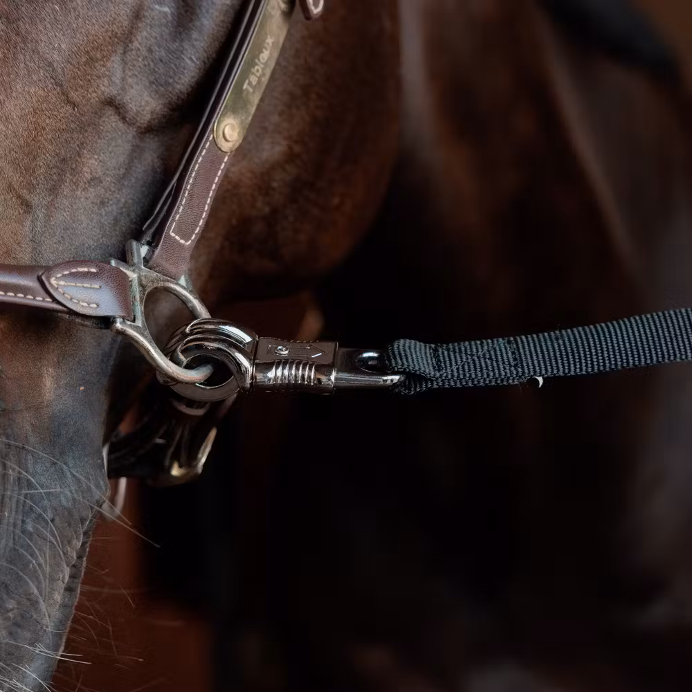 Horse box lead & Cross ties safety black 120cm