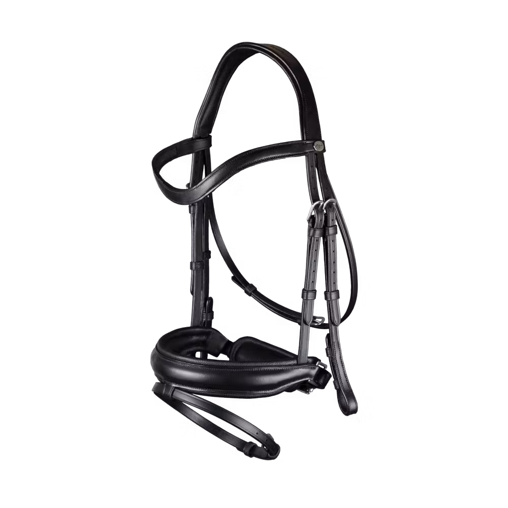 Matte Large Crank Noseband Bridle With Flash