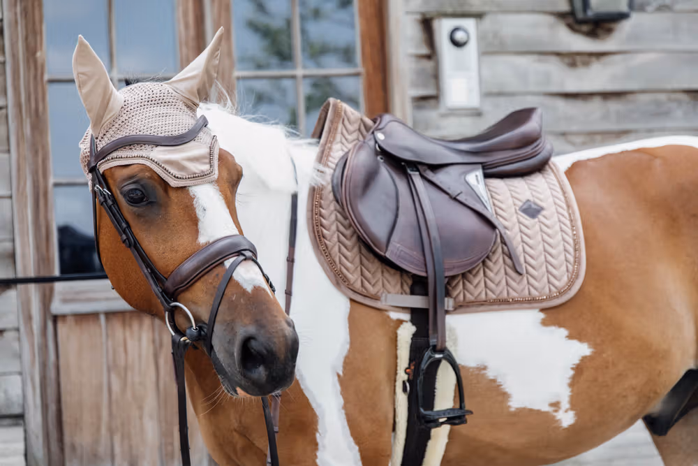 Relax Horse Toy Alvin