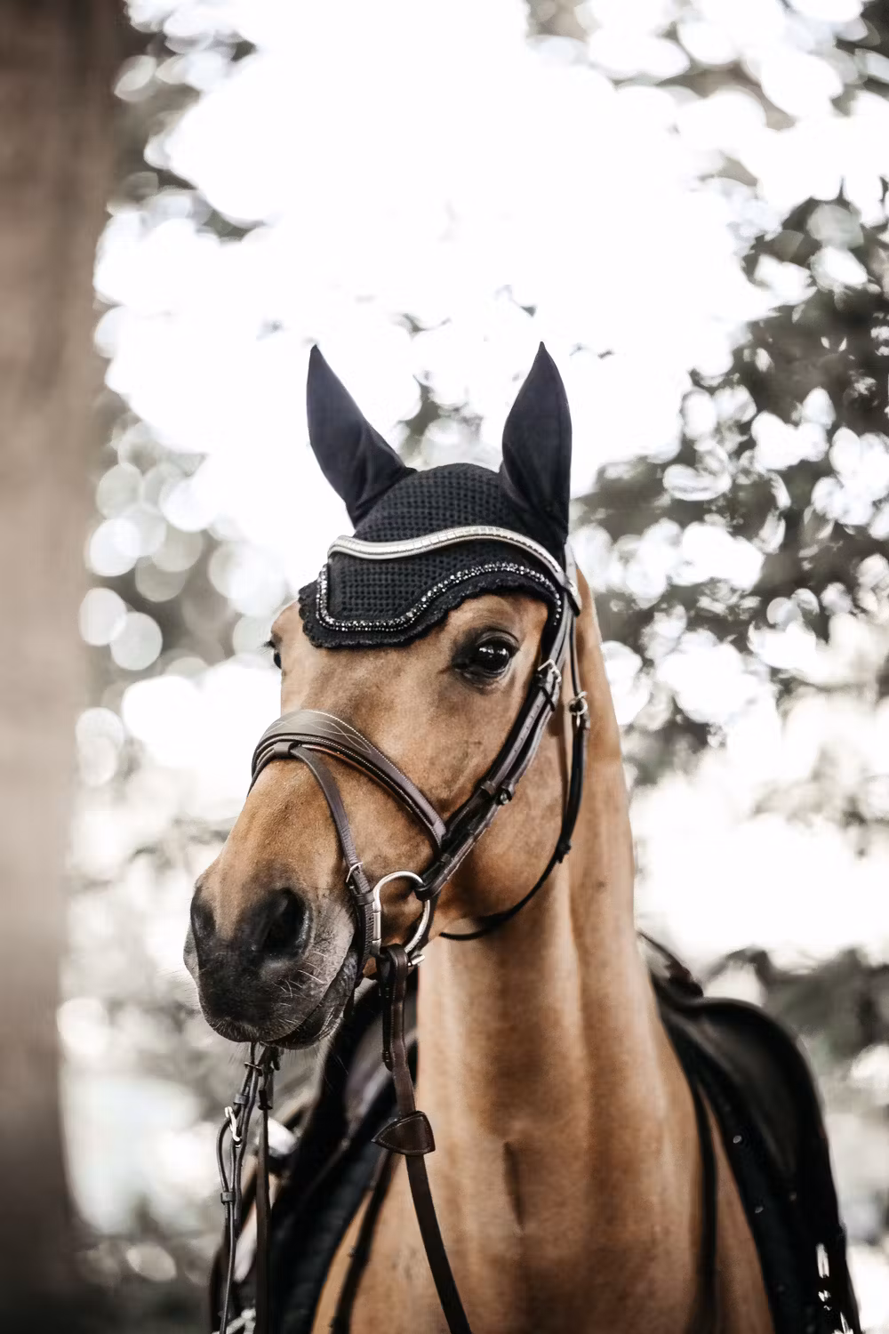 Fly veil Wellington stone & pearl black