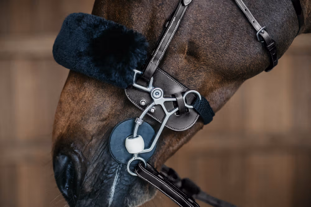 Hackamore protection Black