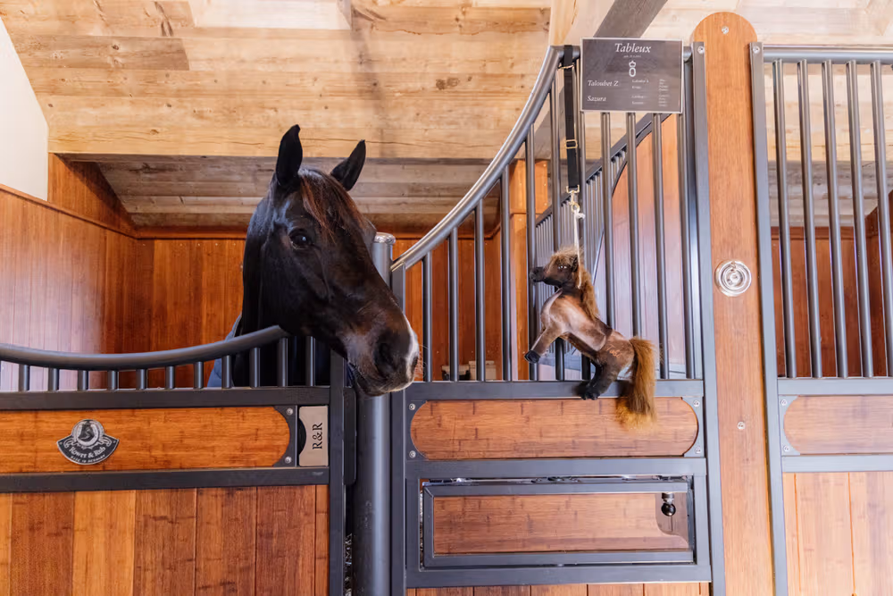 Relax Horse Toy Tableux